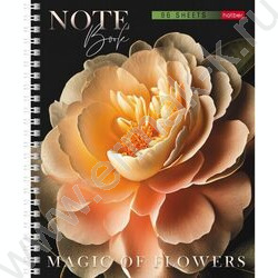 Тетрадь  96л клетка/спираль "Магия цветов" перфорация 4вида | Фото 1