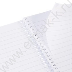 Тетрадь  96л линейка/спираль "Студенту- Viva Magenta" /матов. ламинация/тиснение/ | Фото 3