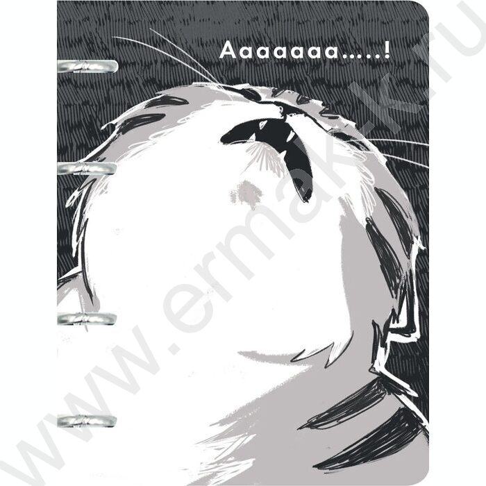 Тетрадь 100л клетка/кольца "Монохромные котики" /глян.ламин. тиснение фольгой Серебро/ | Фото 1