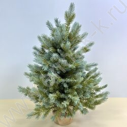 Ель  60см. 22X010 NEW | Фото 1