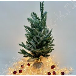 Ель 50см. NEW | Фото 1