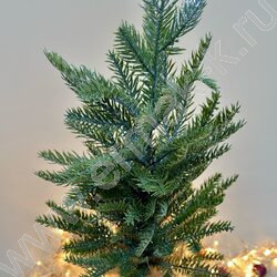 Ель 50см. NEW | Фото 2
