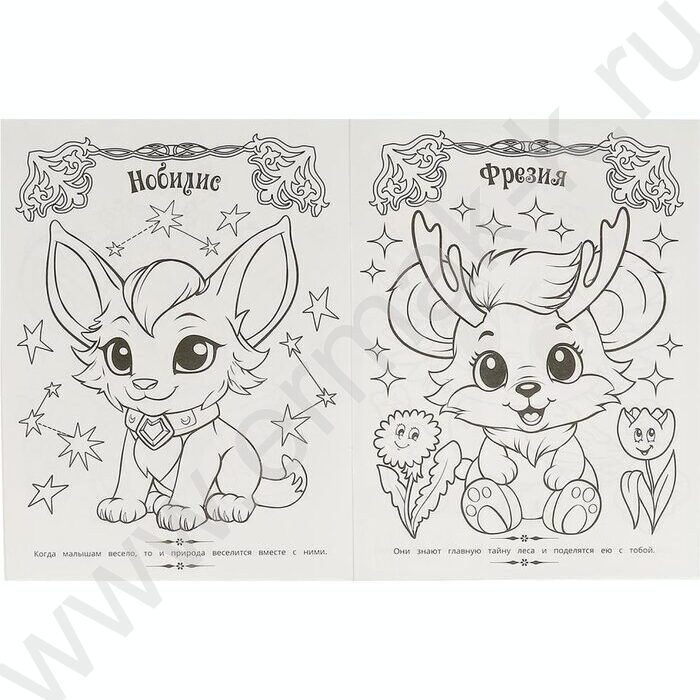 Раскраска А4 Волшебная раскраска.Загадочный лес | Фото 4