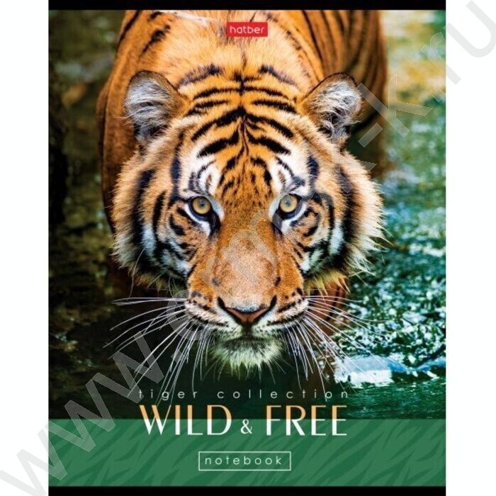 Тетрадь  48л клетка "Для мальчиков- Выпуск №1" 5видов | Фото 5