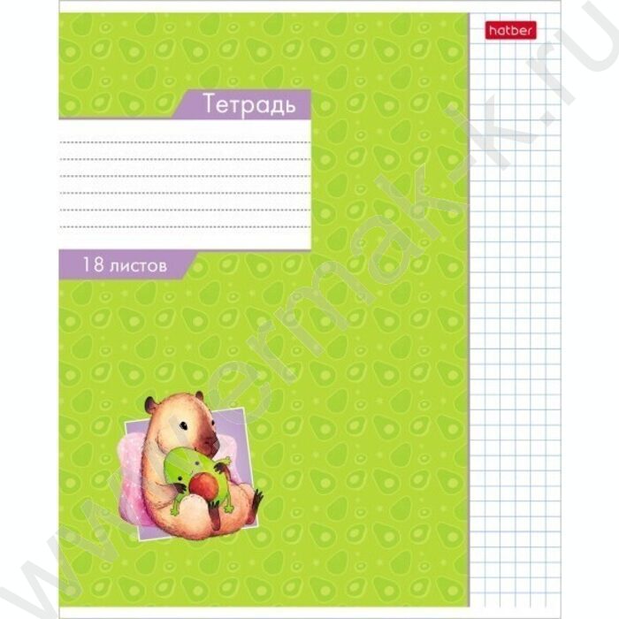 Тетрадь  18л клетка "Малыш капибара"  5видов | Фото 1