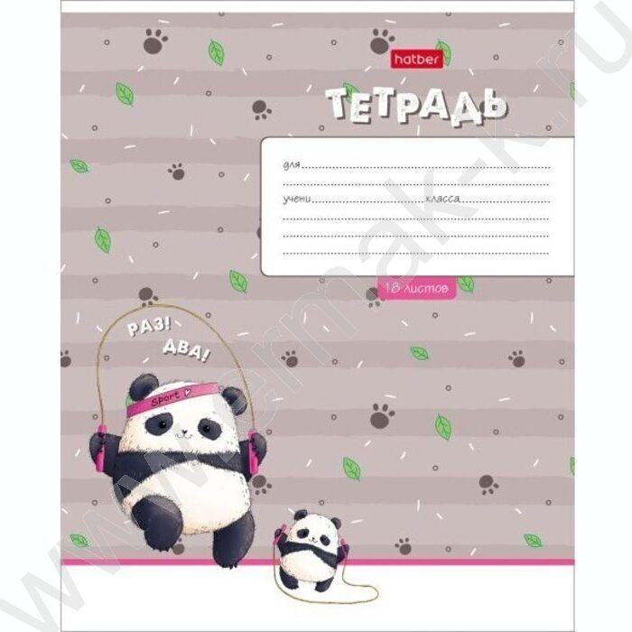 Тетрадь  18л клетка "Забавные панды"  5видов | Фото 3