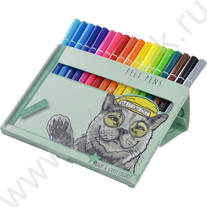 Фломастеры  18цв Easycolor к/кор | Фото 3