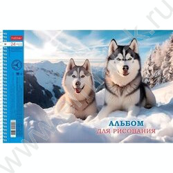 Альбом д/рисования-спираль 24л "Ассорти- Выпуск №3" /перфорация/ 5видов | Фото 2