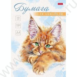 Папка д/акварели А4 10л 200г/м2 "Рыжий котик" /тиснение | Фото 1