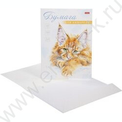 Папка д/акварели А4 10л 200г/м2 "Рыжий котик" /тиснение | Фото 2