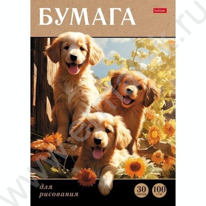 Папка д/рисования А4 30л 100г/м² "Мягкие ушки" | Фото 1