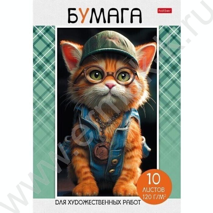 Папка д/рисования и художественных работ А4 10л 120г/м² "Мяу-стори" | Фото 1