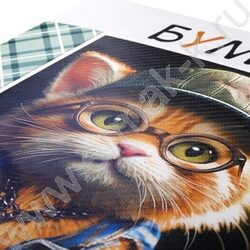 Папка д/рисования и художественных работ А4 10л 120г/м² "Мяу-стори" | Фото 2