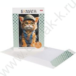 Папка д/рисования и художественных работ А4 10л 120г/м² "Мяу-стори" | Фото 3