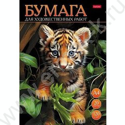 Папка д/рисования и художественных работ А4 20л 120г/м² "Тигрёнок" | Фото 1