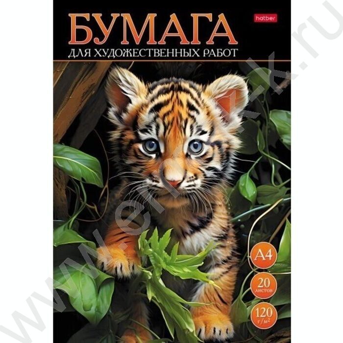 Папка д/рисования и художественных работ А4 20л 120г/м² "Тигрёнок" | Фото 1