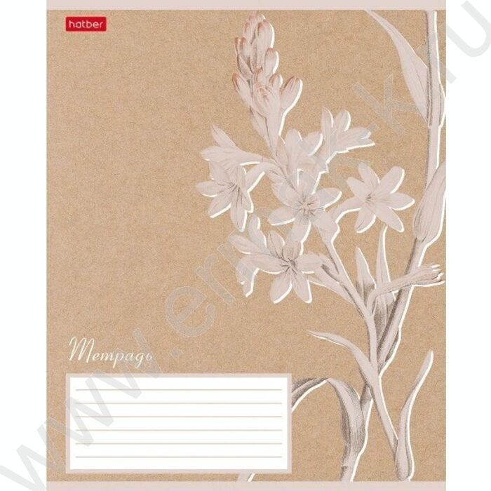 Тетрадь  18л линейка "Нежность" 5видов | Фото 1