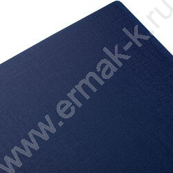 Тетрадь  80л клетка/спираль/пластик.обл./евро "CANVAS  Синяя" | Фото 2