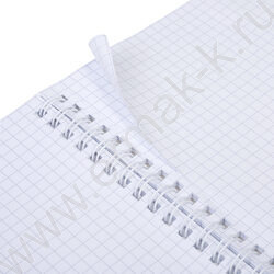 Тетрадь  80л клетка/спираль/пластик.обл./евро "CANVAS  Синяя" | Фото 3