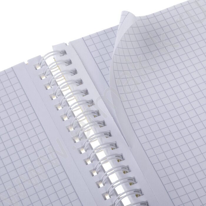 Тетрадь  96л А4 клетка/спираль/пл.обл./4цв.разделителя с линейкой LINE NEON Желтая | Фото 4