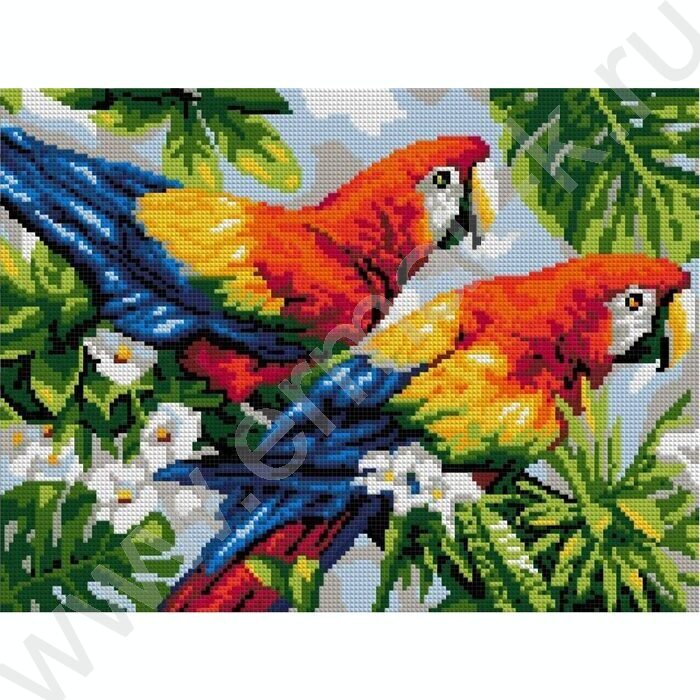 Мозаика алмазная 30*40см Пара попугаев полное заполнение | Фото 1
