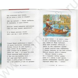 Внеклассное чтение.Поэмы и стихотворения.Некрасов Н. А. | Фото 3