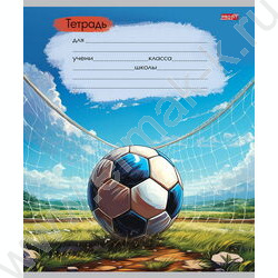 Тетрадь  12л линейка косая "Арт с мячом" ассорти | Фото 3