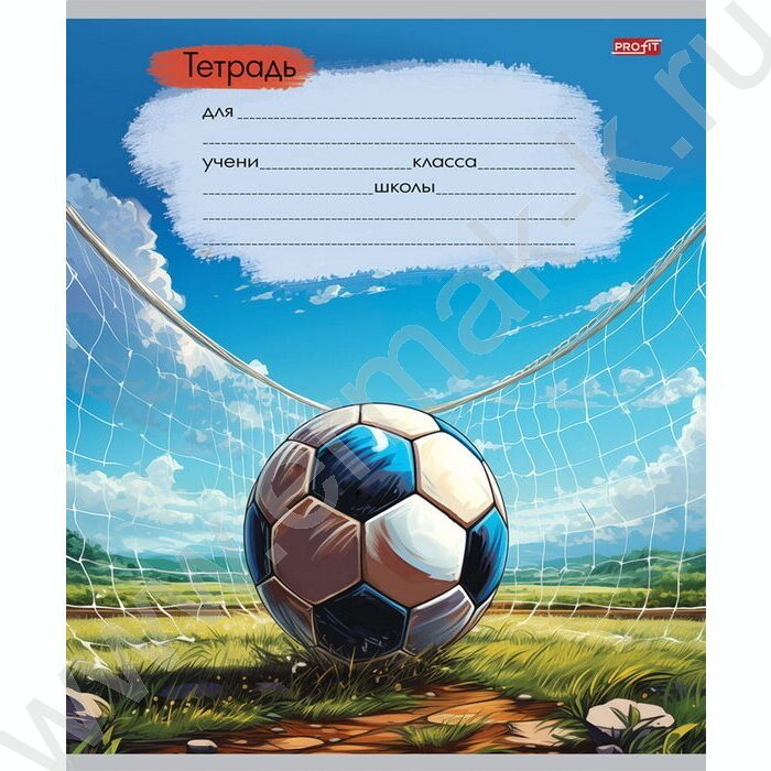 Тетрадь  12л линейка косая "Арт с мячом" ассорти | Фото 3