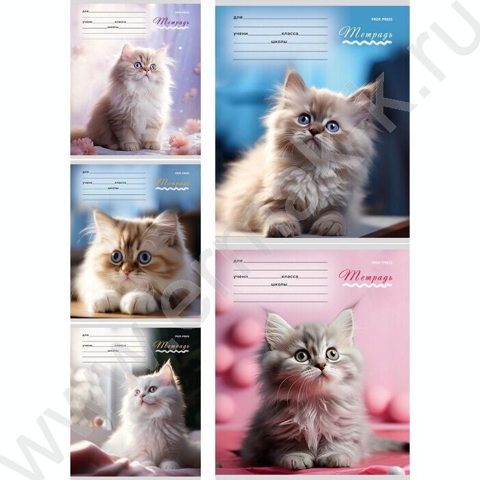 Тетрадь  12л клетка "Милые кошечки-1" 5видов | Фото 1