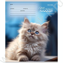 Тетрадь  12л клетка "Милые кошечки-1" 5видов | Фото 2