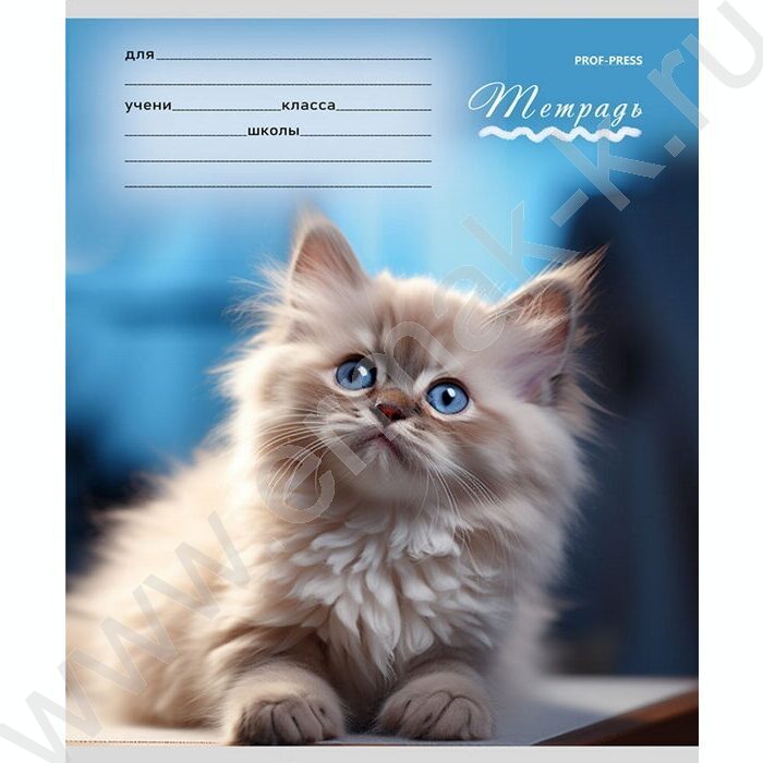 Тетрадь  12л клетка "Милые кошечки-1" 5видов | Фото 2