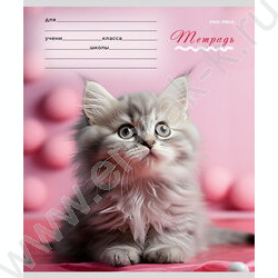 Тетрадь  12л клетка "Милые кошечки-1" 5видов | Фото 3
