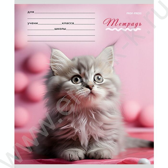 Тетрадь  12л клетка "Милые кошечки-1" 5видов | Фото 3