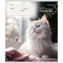 Тетрадь  12л клетка "Милые кошечки-1" 5видов | Фото 4