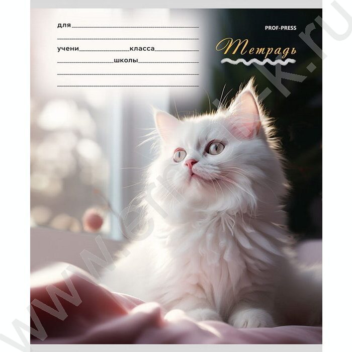 Тетрадь  12л клетка "Милые кошечки-1" 5видов | Фото 4