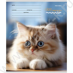 Тетрадь  12л клетка "Милые кошечки-1" 5видов | Фото 5