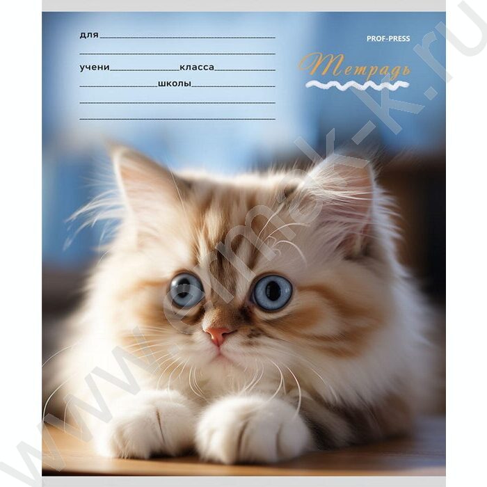Тетрадь  12л клетка "Милые кошечки-1" 5видов | Фото 5