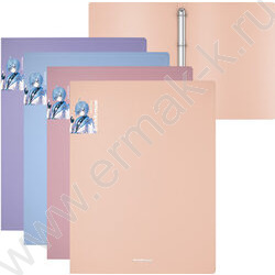 Папка 4 кольца 24мм Matt Manga /ассорти | Фото 1