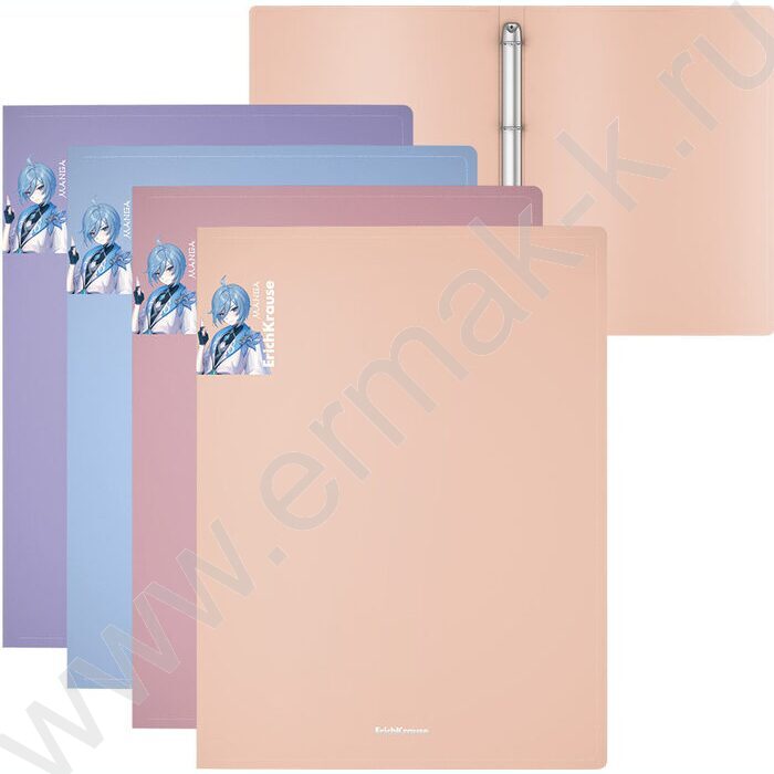 Папка 4 кольца 24мм Matt Manga /ассорти | Фото 1