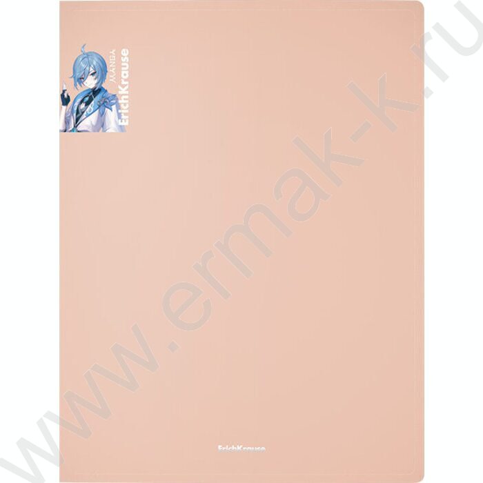 Папка 4 кольца 24мм Matt Manga /ассорти | Фото 3