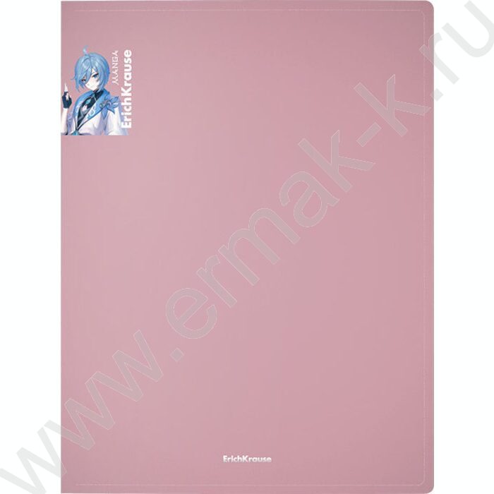 Папка 4 кольца 24мм Matt Manga /ассорти | Фото 4