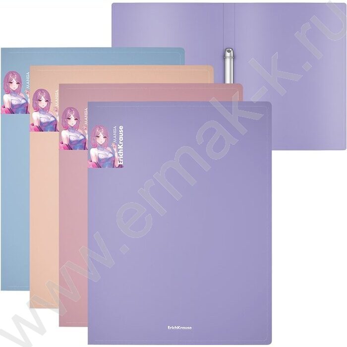 Папка 2 кольца 24мм Matt Manga /ассорти | Фото 1