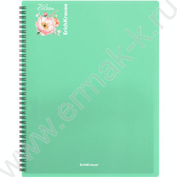 Папка  40 файлов Matt Pastel Bloom /ассорти /спираль | Фото 3