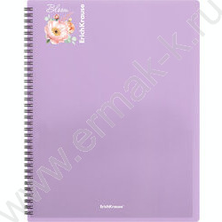 Папка  40 файлов Matt Pastel Bloom /ассорти /спираль | Фото 5