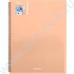 Папка  20 файлов Matt Pastel Bloom /ассорти /спираль | Фото 3