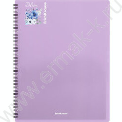 Папка  20 файлов Matt Pastel Bloom /ассорти /спираль | Фото 4