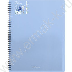 Папка  20 файлов Matt Pastel Bloom /ассорти /спираль | Фото 5