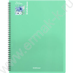 Папка  20 файлов Matt Pastel Bloom /ассорти /спираль | Фото 6