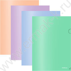 Папка уголок А4 Matt Pastel Bloom /ассорти | Фото 1