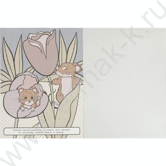 Раскраска Большая водная. Обитатели леса | Фото 3